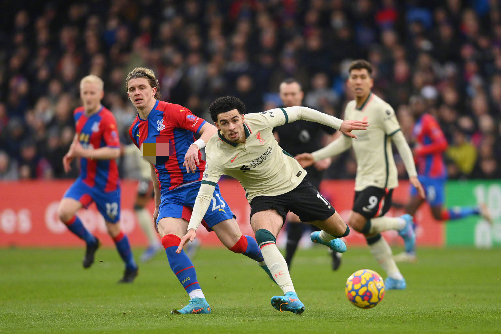 联球队的市 联球队的市