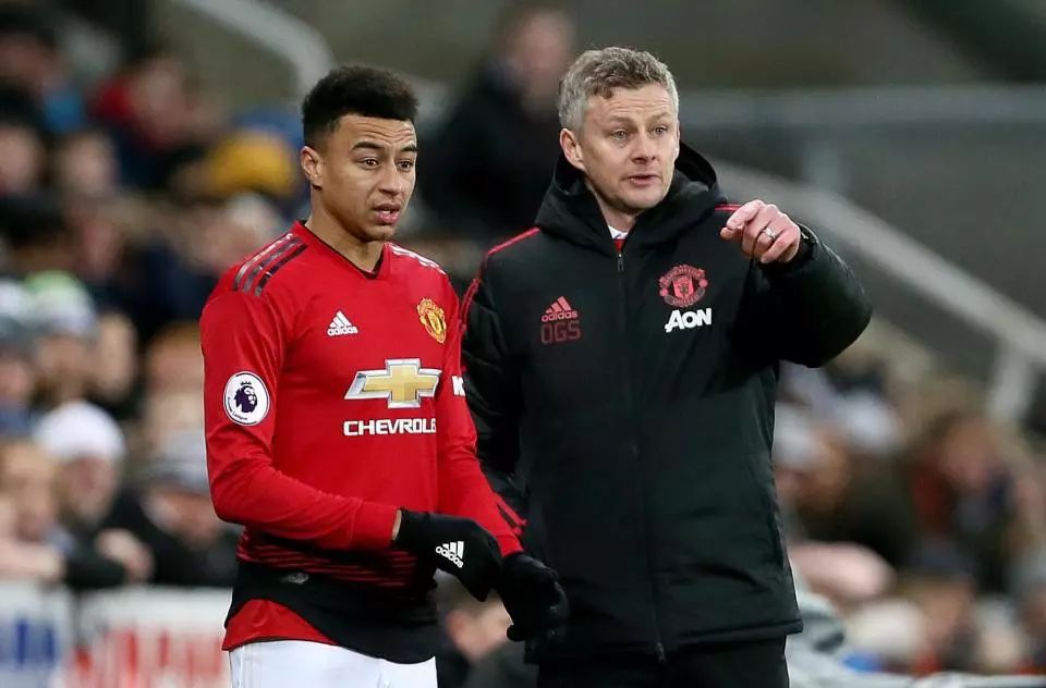 定性因素 定性因素